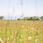 Semesterbostad Lantern Staintondale