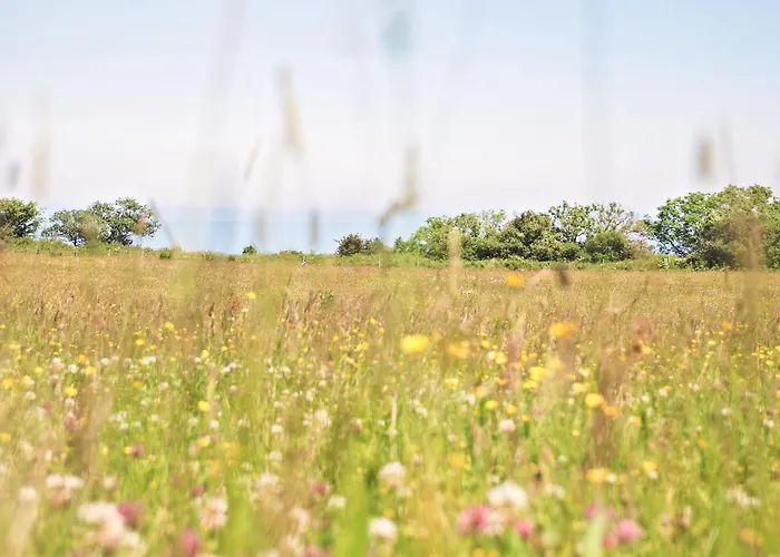 度假居 Lantern Staintondale
